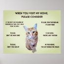 Zoek naar grappige kattenfoto posters Kattenliefhebbers