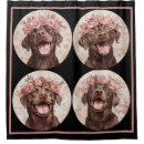 Recherche de chocolate labrador Pour tous