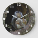 Recherche de écureuil gris horloges Nature