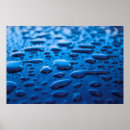 Recherche de perles posters Nature