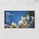 Recherche de le fond cartes visite Nature