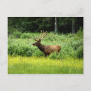 Recherche de bel cartes postales Canada