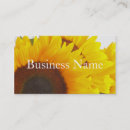 Recherche de de tournesol cartes visite Fleur