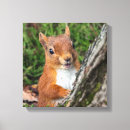 Recherche de copie animale photographie Nature