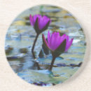 Recherche de nénuphar dessous de verres Jardin d'eau