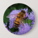 Zoek naar honingbijen buttons Insect