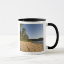 Recherche de seychelles tasses Tropicale