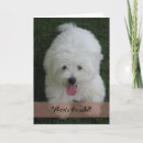 Recherche de coton anniversaire cartes Blanc