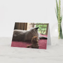 Recherche de deux chats vœux cartes Chat mignon