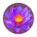 Recherche de nénuphar planches à découper Fleur
