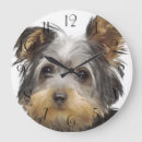 Recherche de yorkshire horloges Yorkie