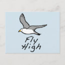 Recherche de mouette en vol cartes postales Nature