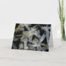 Recherche de gel vœux cartes Glace