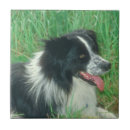 Zoek naar border collie tegels Zwart wit