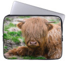 Zoek naar koe laptop sleeves Vee