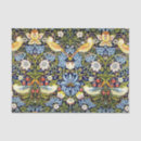 Recherche de strawberry tissue paper Voleur de fraises