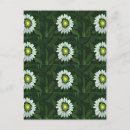 Recherche de rudbeckias cartes postales Jardin