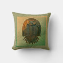 Recherche de fossiles coussins Paléontologie