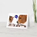 Recherche de humour pilote vœux cartes Chat