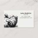 Recherche de de petsitter Chat