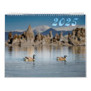 Recherche de california bureau fournitures Oiseaux