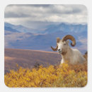 Recherche de chêne autocollants Chute