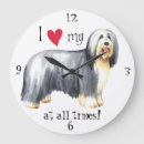 Recherche de colley horloges Chien