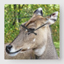 Recherche de animaux de zoo horloges Mignon