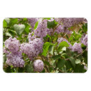 Recherche de seringue magnets Fleur