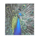 Recherche de oiseau coloré blocsnotes Animal