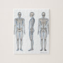 Recherche de skeleton puzzles Illustration