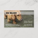 Recherche de dog walker cartes visite Animal de compagnie