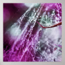 Recherche de sensuel posters Photographie