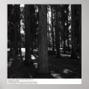 Recherche de uc berkeley posters Ansel adams