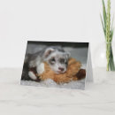 Recherche de belettes vœux cartes Animal