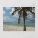 Recherche de belle nature cartes postales Tropical