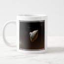 Recherche de capsules tasses Technologie