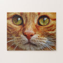 Recherche de orange cat puzzles Animal