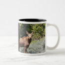 Recherche de élans tasses Sauvage