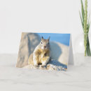 Recherche de écureuil gris vœux cartes Faune