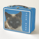Zoek naar kat lunchboxen Kleurrijk