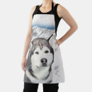 Recherche de malamute tabliers Chien