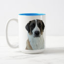 Recherche de kangal tasses Berger
