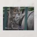 Zoek naar dierentuin briefkaarten Fotografie