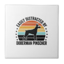 Recherche de dobermann carreaux Chien