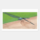 Recherche de ailes de libellule autocollants Nature