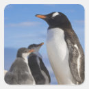 Recherche de habitats autocollants Océan
