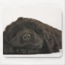 Recherche de chiot mignon tapis souris Horizontal