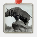 Recherche de rhinocéros ornements Animal