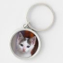 Recherche de chaton blanc porteclés Photographie